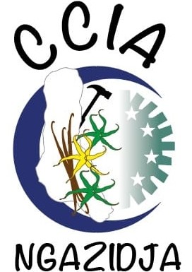logo CCIA Ngazidjia